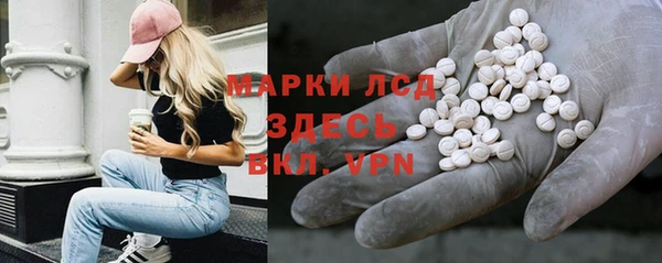 шишки Аркадак