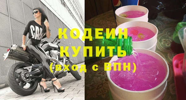 молекула духа Арсеньев