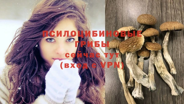 меф Алзамай