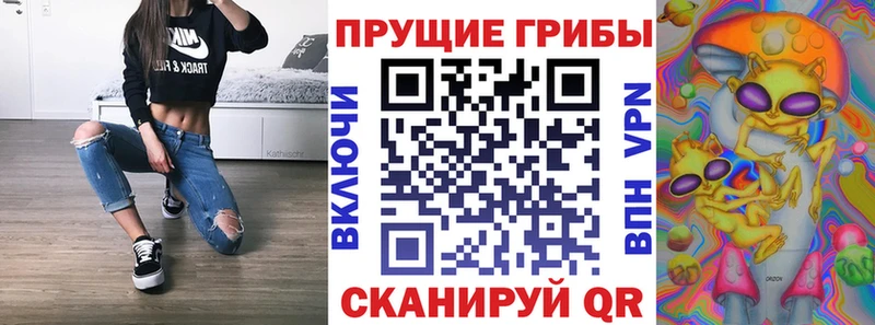 Галлюциногенные грибы Psilocybine cubensis  наркотики  Лахденпохья 
